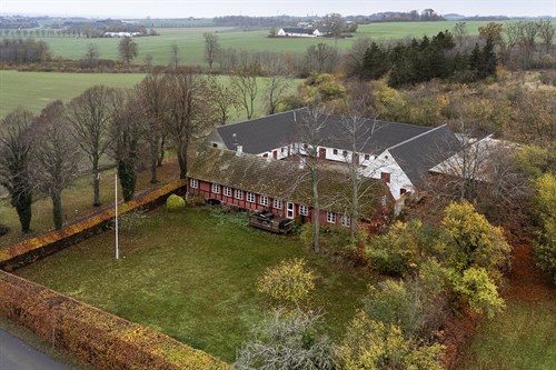 estate