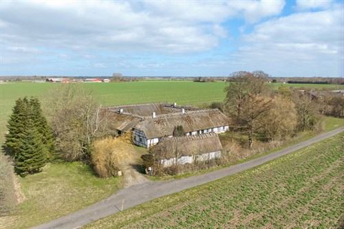 estate