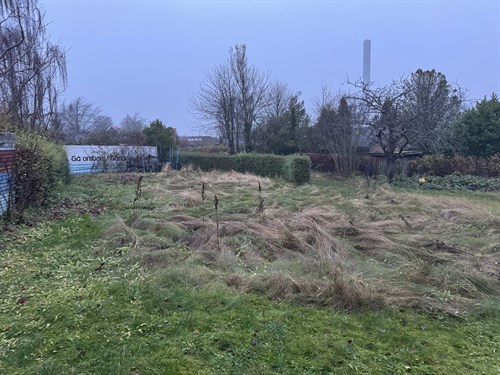 estate