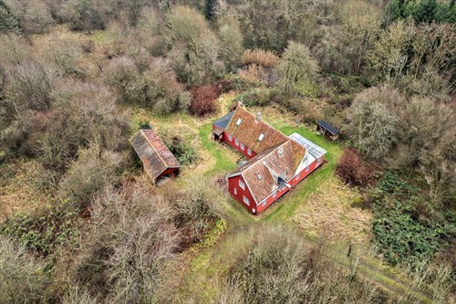 estate