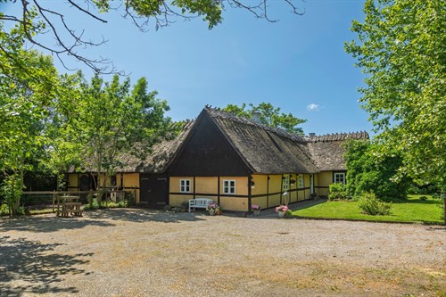 estate