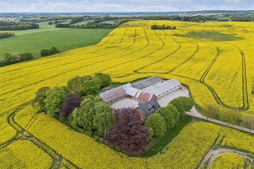 estate