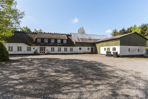 estate