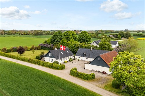 estate