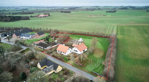 estate