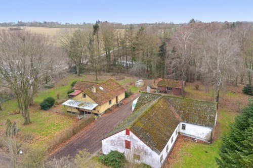 estate