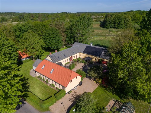 estate