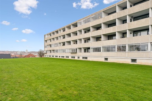 estate