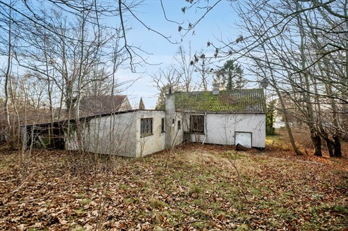 estate