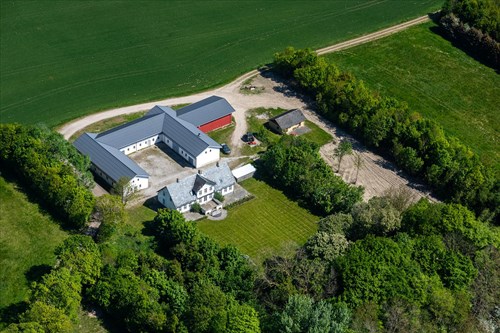 estate