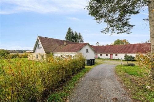 estate