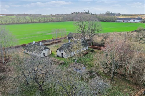 estate
