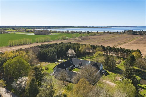 estate