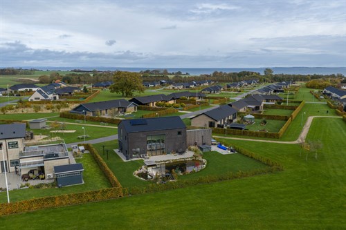 estate
