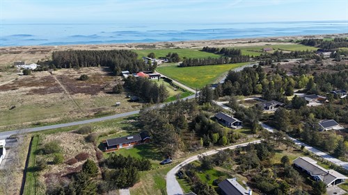 estate