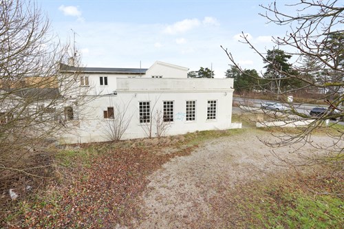 estate
