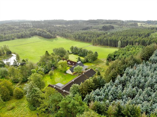 estate