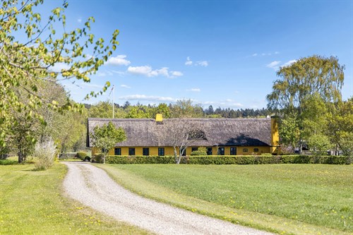 estate