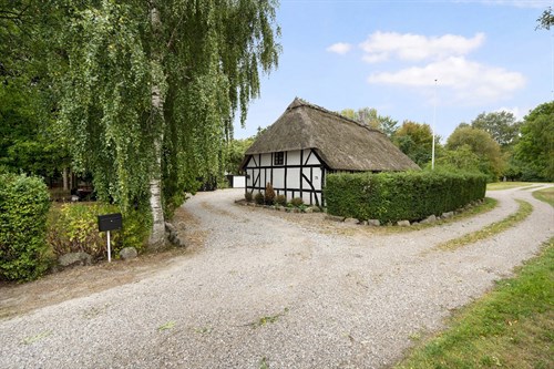 estate