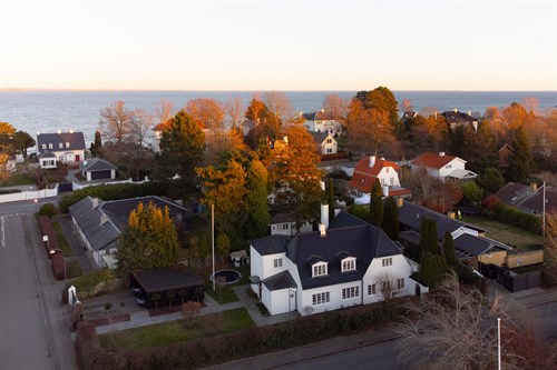 estate