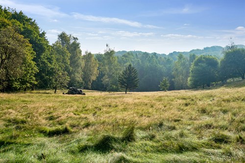 estate