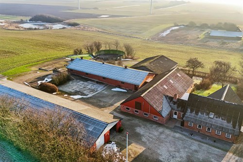 estate