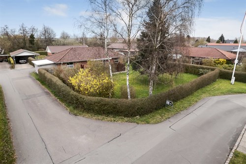 estate