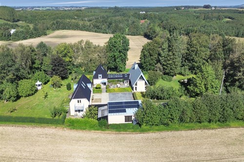 estate