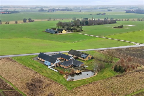 estate