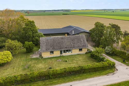 estate