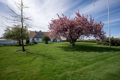 estate