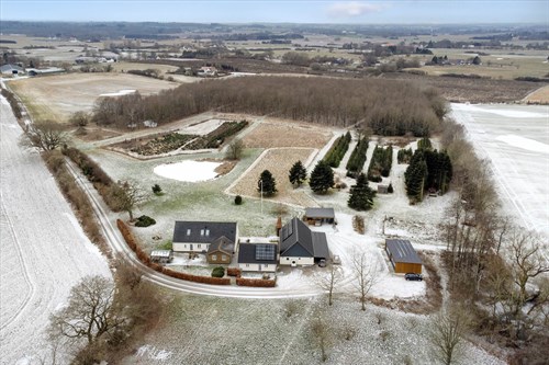 estate