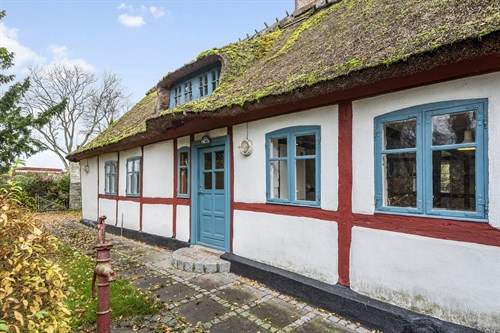 estate