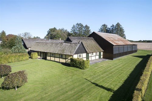 estate