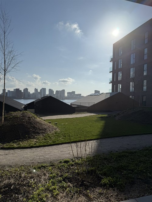 estate