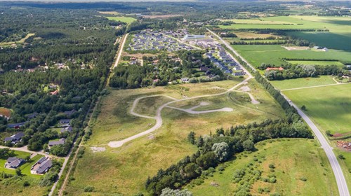 estate