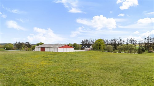 estate