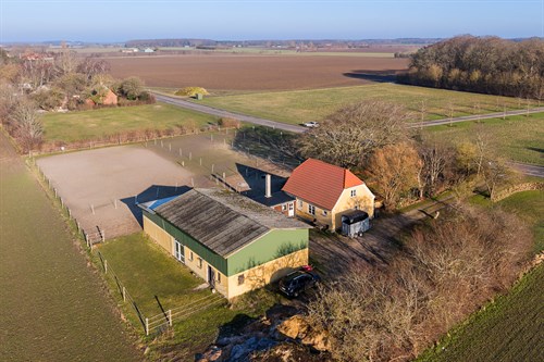 estate