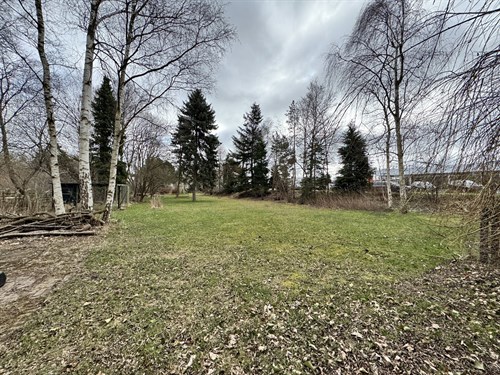 estate