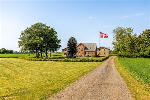 estate