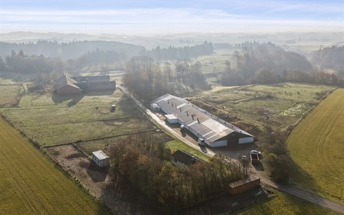 estate