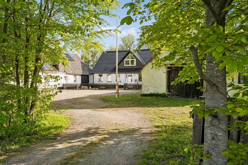 estate