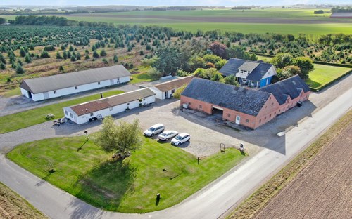 estate