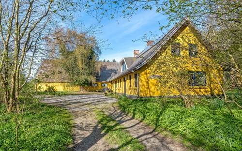 estate