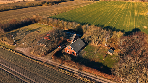 estate