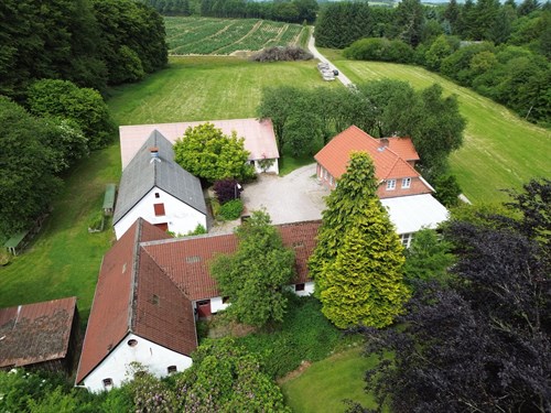 estate