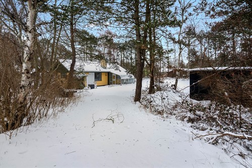 estate