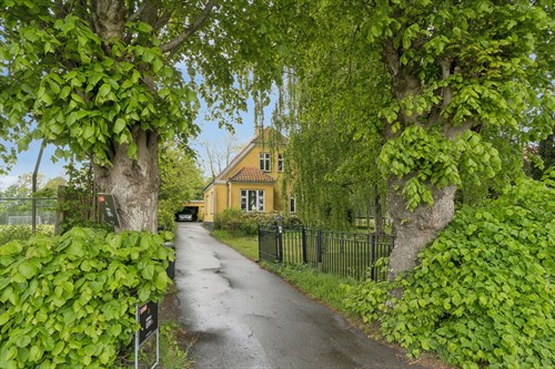 estate