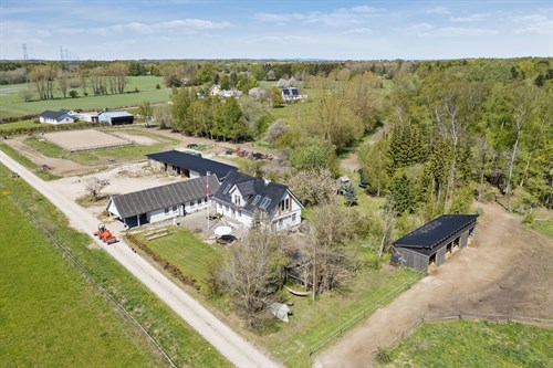 estate