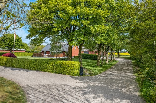estate